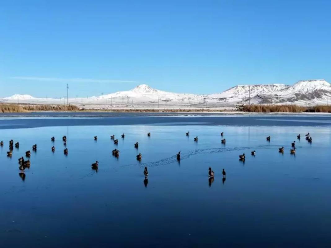 Geçen sene kuraklığın kıyısından dönen dev göl şimdi de buz tuttu! Ördekler kendilerine zor yer buldu 7