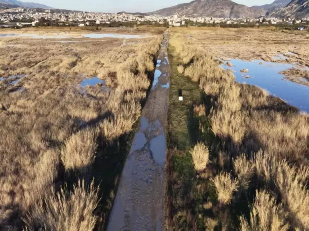 Temmuz ayında tamamen kurumuştu! Milleyha Kuş Cenneti küllerinden doğdu: Kuraklık bitince göçmen kuşlar geri döndü 5