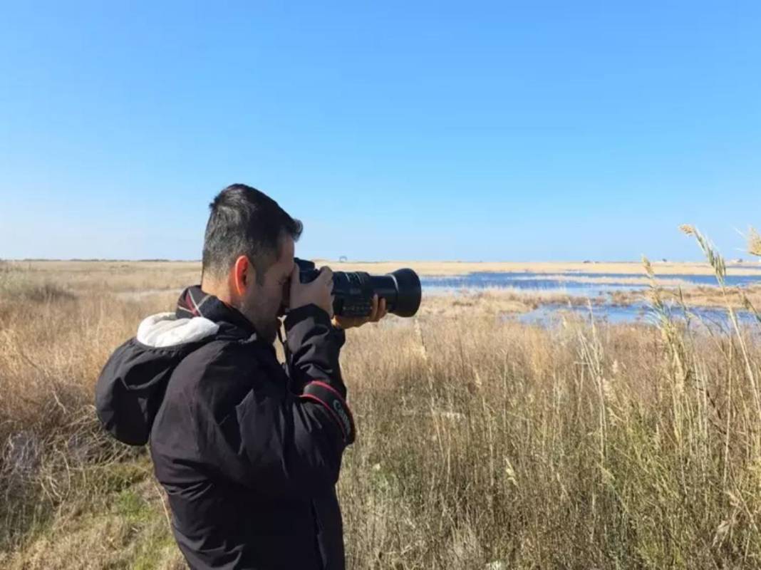 Temmuz ayında tamamen kurumuştu! Milleyha Kuş Cenneti küllerinden doğdu: Kuraklık bitince göçmen kuşlar geri döndü 3