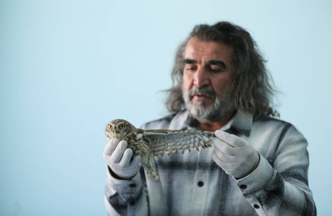 Van’da yaban hayatına şefkat eli: Bitkin düşen hayvanlar bu merkezde hayata tutunuyor 3