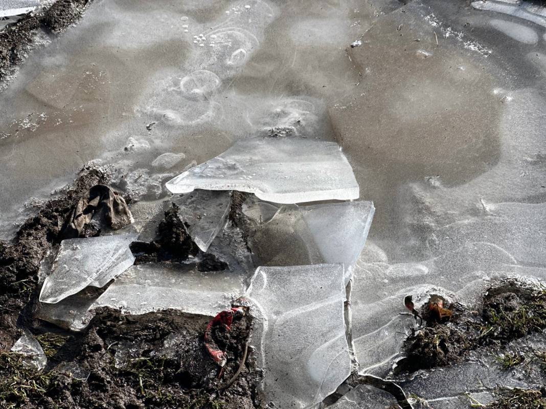 Edirne’de dondurucu soğuklar: Tunca Nehri ve "Göl Baba" buzla kaplandı! 3