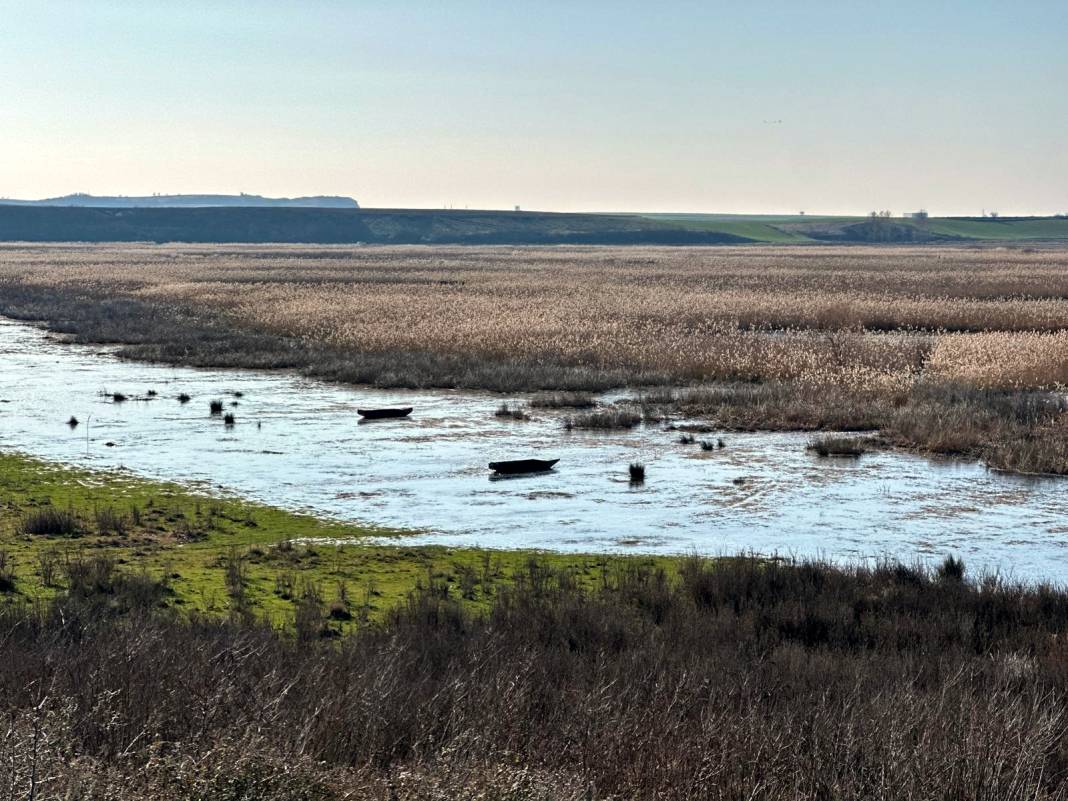 Edirne’de dondurucu soğuklar: Tunca Nehri ve "Göl Baba" buzla kaplandı! 2