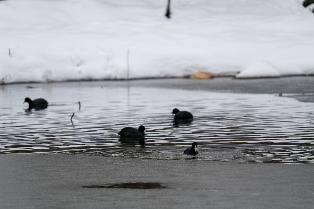 Adıyaman'da görsel şölen: Gölbaşı Gölü buz tuttu 2