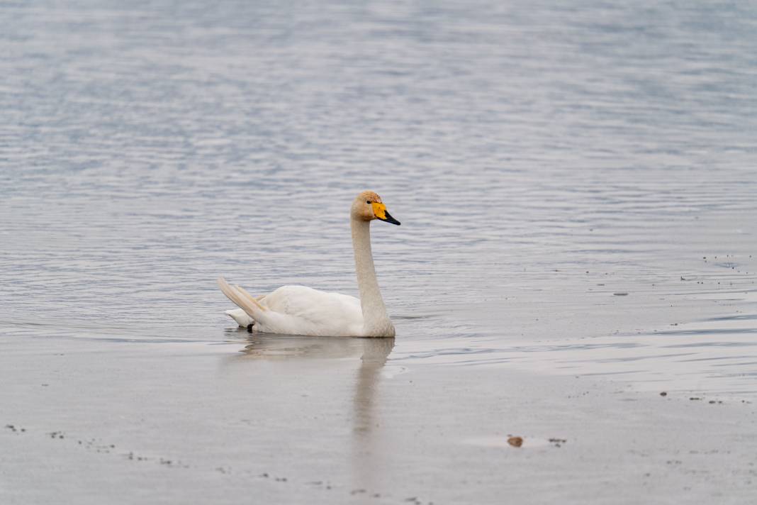 Adıyaman'da görsel şölen: Gölbaşı Gölü buz tuttu 1