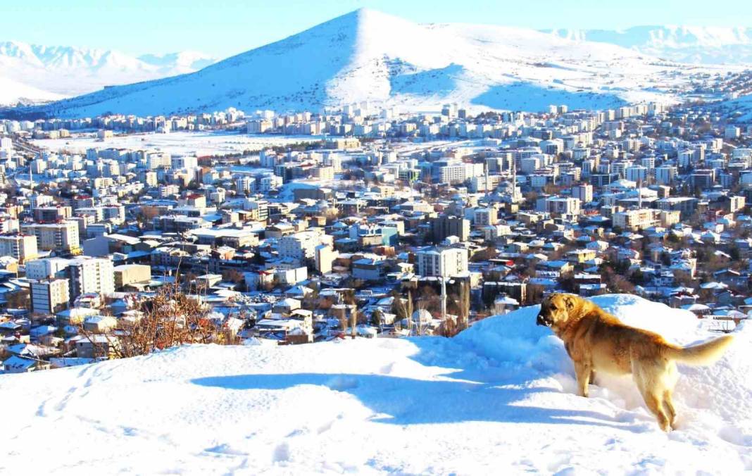 Afşin beyaz gelinliğini giydi: Kar sonrası hayran bırakan görüntüler 2