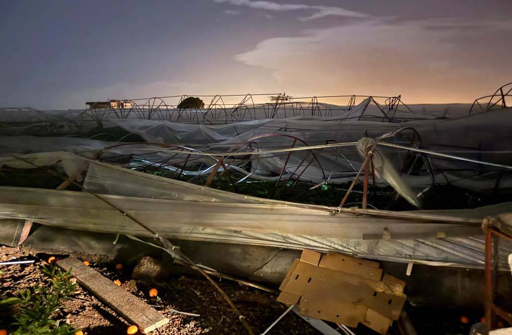 Şiddetli fırtına Antalya’yı vurdu: Tarım alanları ve tekneler ağır hasar aldı 5