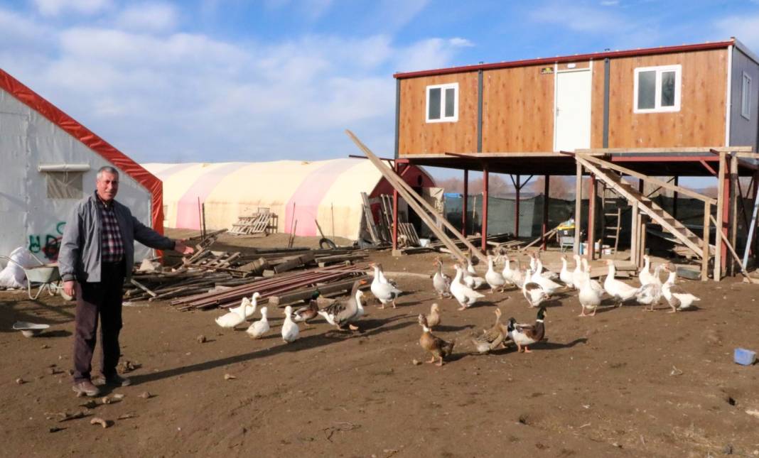 Afyonkarahisar'da 3 asırlık gelenek servet kazandırıyor: Köyde herkes besliyor, tanesi 2 bin liradan büyükşehirlere yok satıyor 4