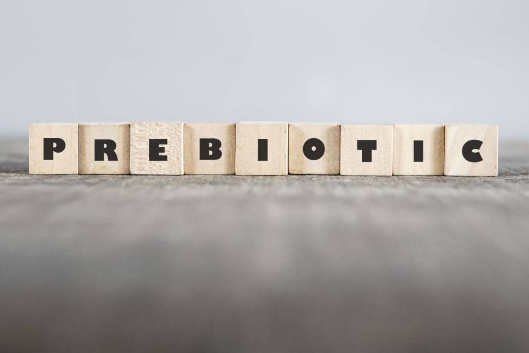 Zayıflamanın gizli formülü bağırsaklarda! Kilo vermek için önce dost bakterilerinizi doyurun 5