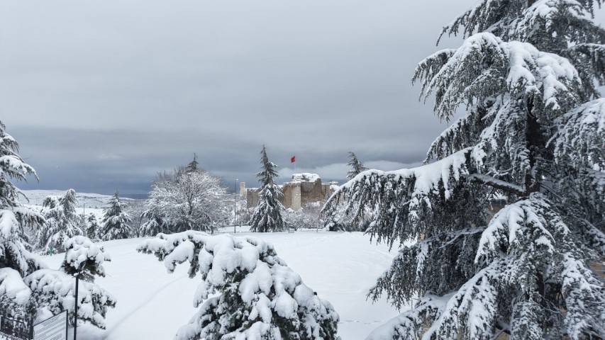 Pisa Kulesi'nden daha eğiri yapısıyla dikkat çekiyor! Su kıtlığı var diye harcı sütle hazırlanmış: İşte ülkemizin Süt Kalesi! 6