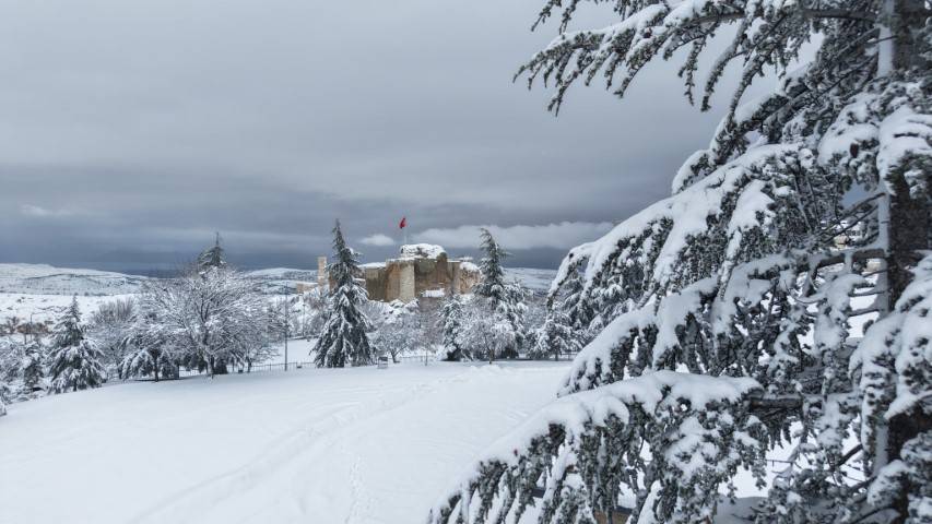 Pisa Kulesi'nden daha eğiri yapısıyla dikkat çekiyor! Su kıtlığı var diye harcı sütle hazırlanmış: İşte ülkemizin Süt Kalesi! 8