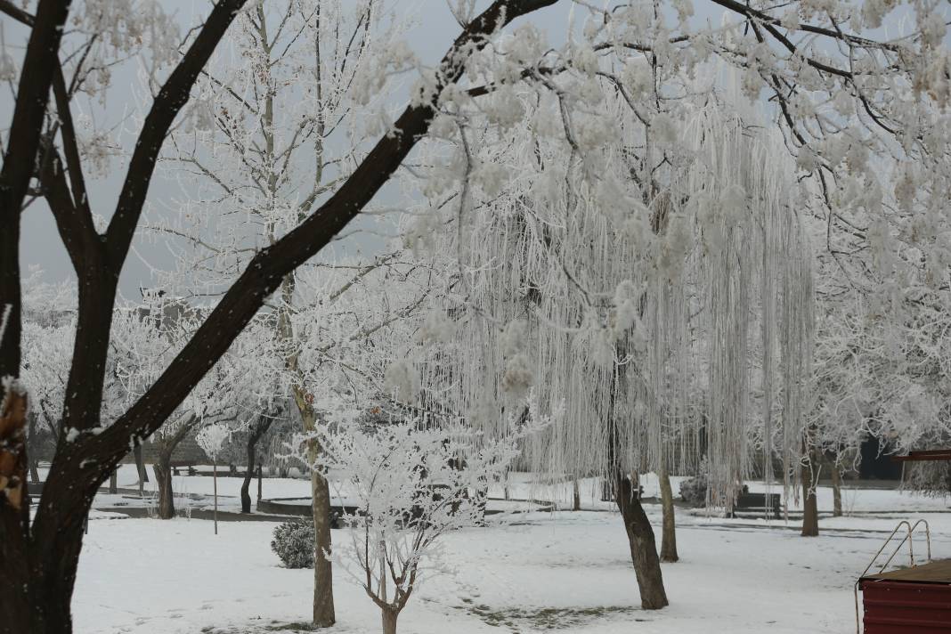 Diyarbakır’da dondurucu manzaralar: Kar sonrası şehir beyaza büründü 1