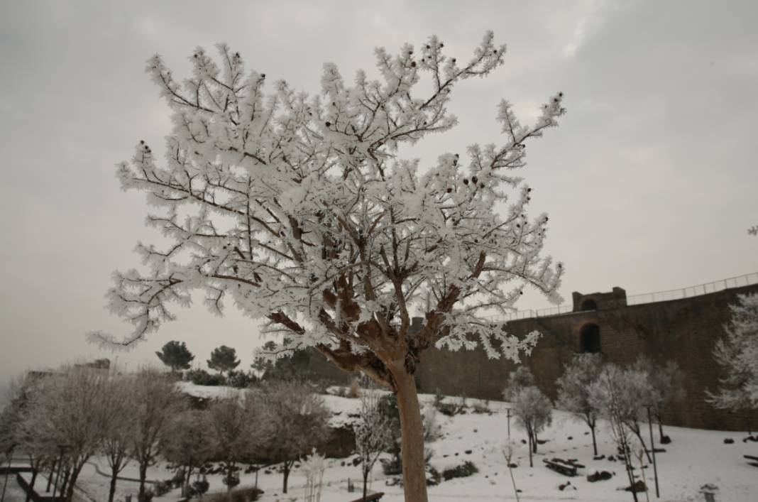 Diyarbakır’da dondurucu manzaralar: Kar sonrası şehir beyaza büründü 5