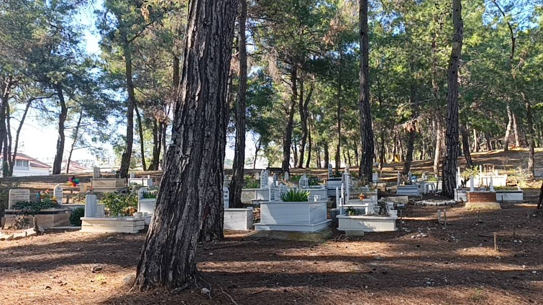 Antalya'da duygulandıran görüntüler: Bebek mezarları oyuncaklarla doldu taştı! 2