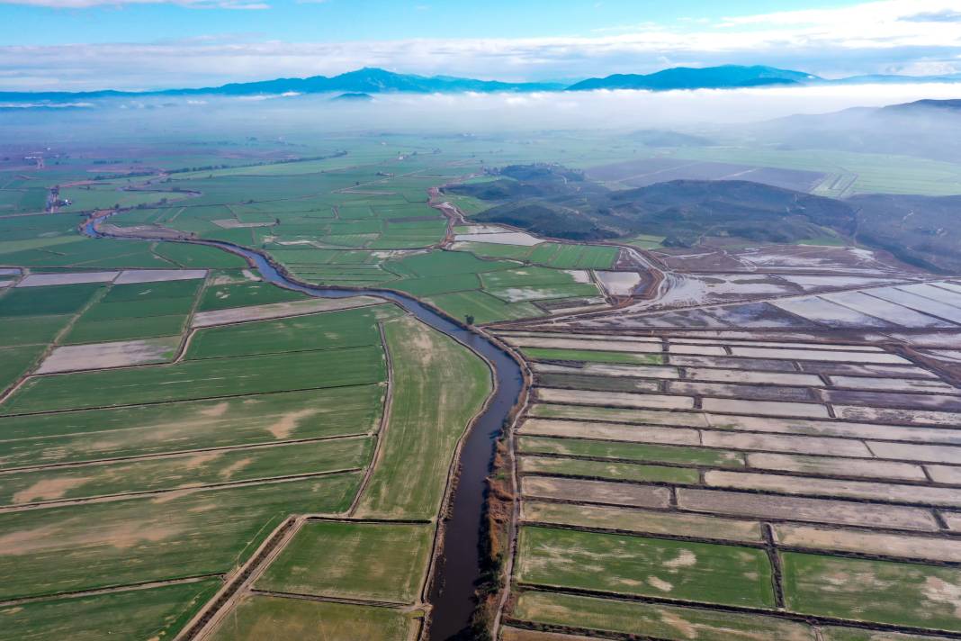 Yaban hayatının kalbi burada atıyor! Büyük Menderes Deltası 250 kuş türüne yuva oldu 2