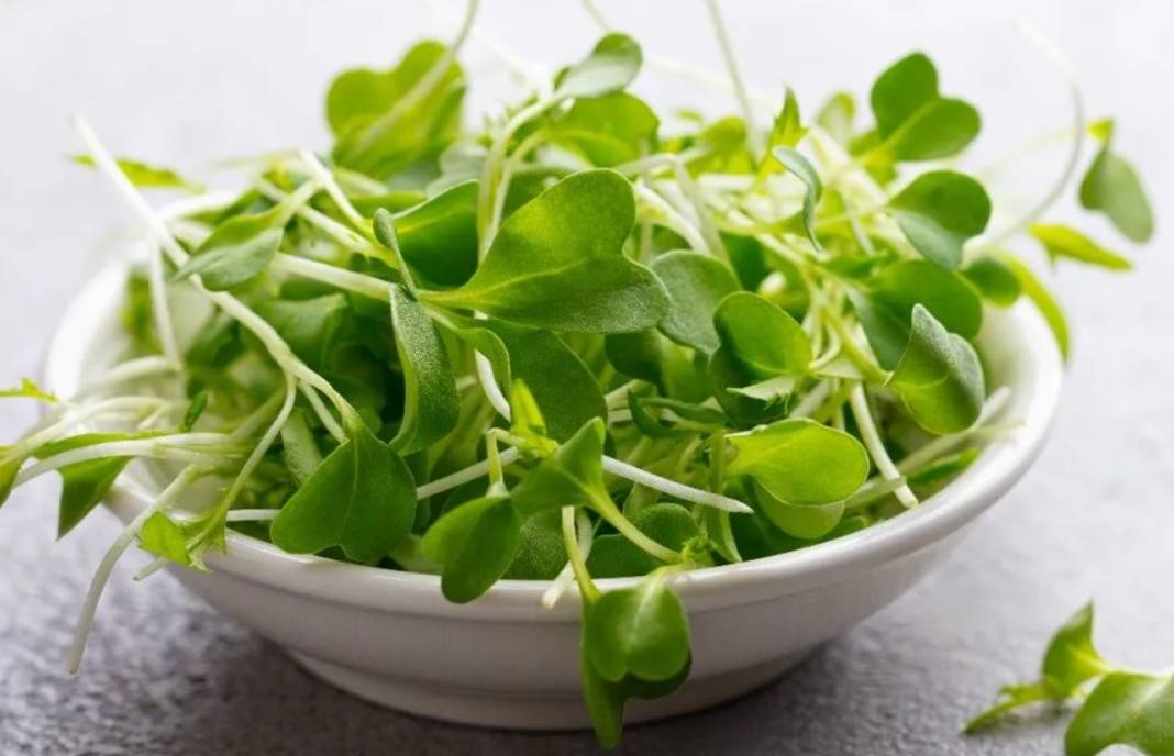 Bilim insanları 1.000 gıdayı analiz etti: Mutlaka tüketmeniz gereken 7 mucizevi besin 3