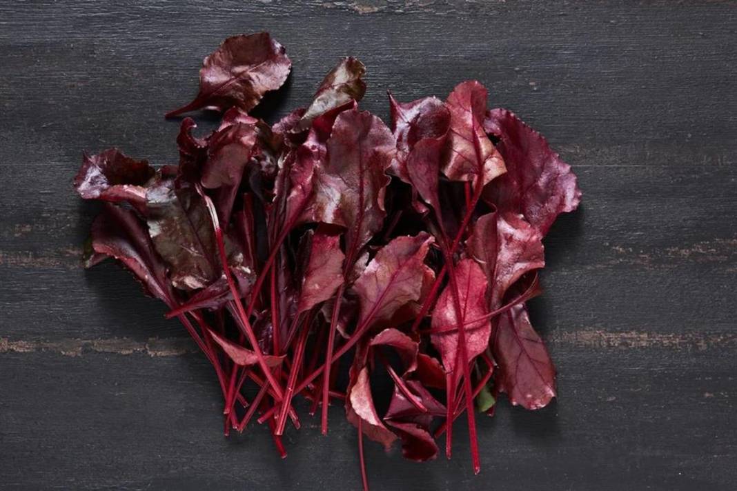 Bilim insanları 1.000 gıdayı analiz etti: Mutlaka tüketmeniz gereken 7 mucizevi besin 4