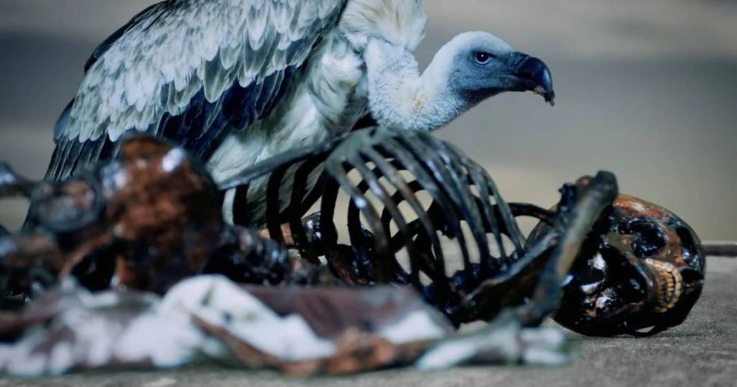 Ölümden sonra düğün ve sıra dışı yolculuklar! Dünyanın en şaşırtıcı 8 cenaze ritüeli 6