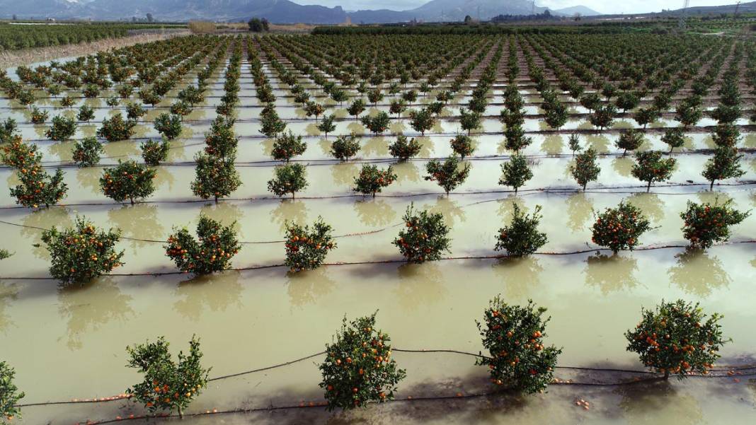 Baraj kapakları açıldı, Seyhan Nehri'nin debisi yükseldi: Tarım arazileri sular altında 5