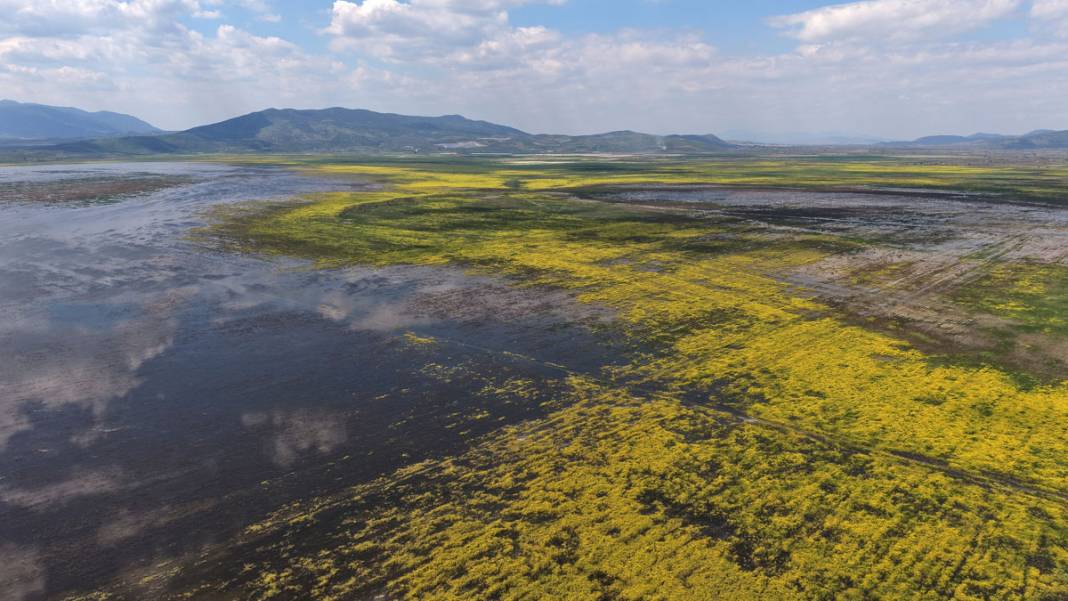 Marmara Gölü’nde yıllar sonra ilk: Göçmen kuşlar geri döndü 7