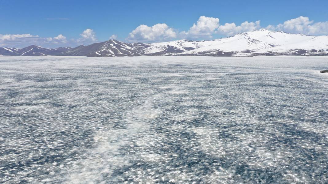 Ağrı'da Antartika'yı aratmayan görüntü: Balık gölü mayısta da buz tuttu 1