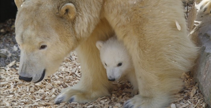 Annesiyle ilk kez parkta!