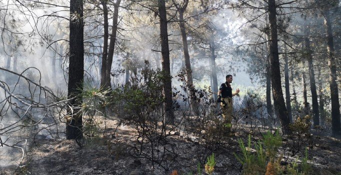 Aydos ormanlarında yangın çıktı