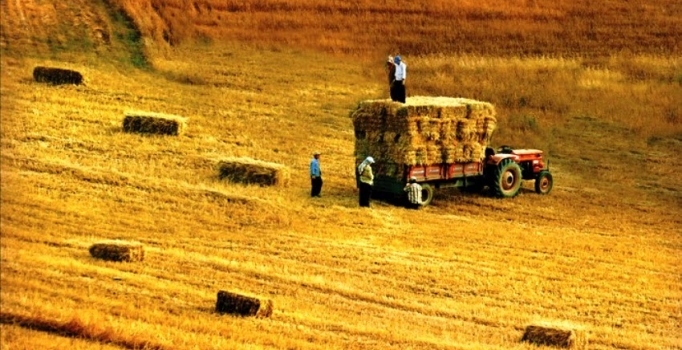 Enflasyon uğruna Türk Tarımı bitecek mi?