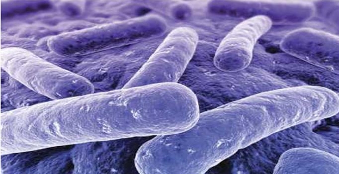 Endonezya'da 27 kişi şarbona yakalandı