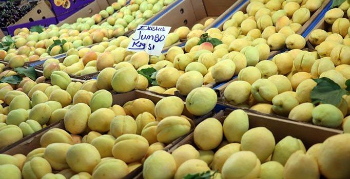 TÜİK açıkladı: Bitkisel ürünlerde en yüksek yeterlilik kayısı ve zerdalide