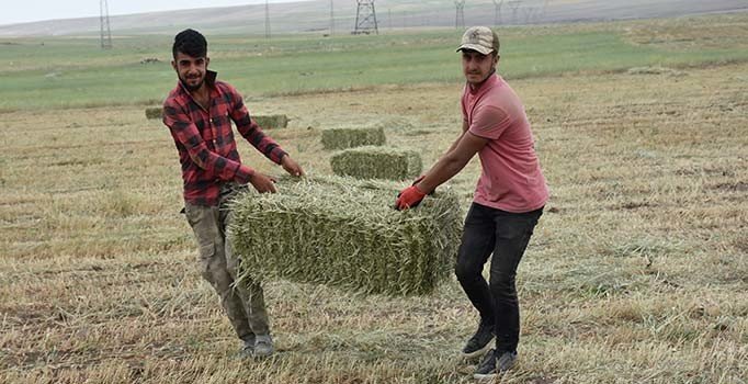 Ağrı, Kars, Iğdır ve Erzurum için kuraklık alarmı