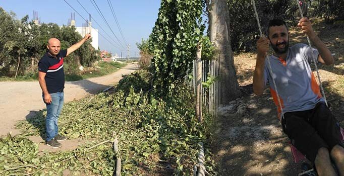 Ağaç budarken elektrik akımına kapılıp öldü