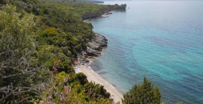 Milli Park için yangın uyarısı