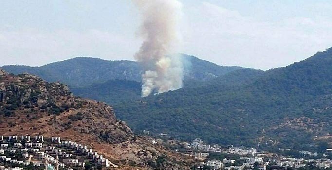 Bodrum'da orman yangını