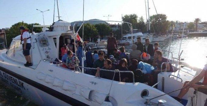 Aydın'da 66 kaçak göçmen yakalandı