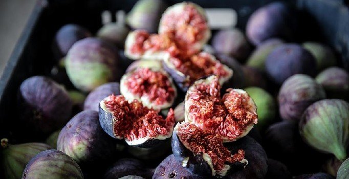 Siyah incir ihracatı 29 Temmuz'da başlıyor