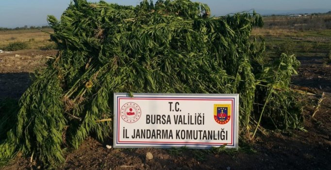 Bursa'da uyuşturucu operasyonu