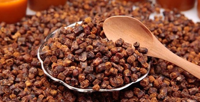 Perga yani arı ekmeği nedir? Arı ekmeğinin faydaları saymakla bitmiyor
