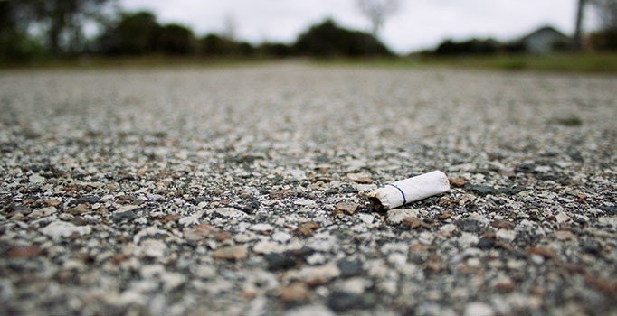 Sigara izmaritleri bitkilere de zarar