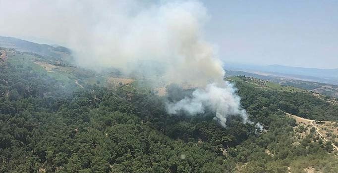 İzmir'in Menderes ilçesinde orman yangını