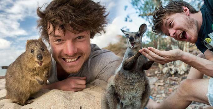 İrlandalı Allan Dixon'ın mesleği hayvanlarla selfie çekmek