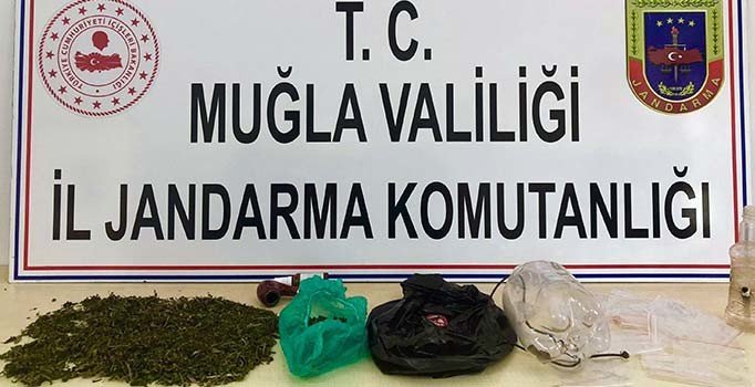Jandarmadan uyuşturucu partisine baskın