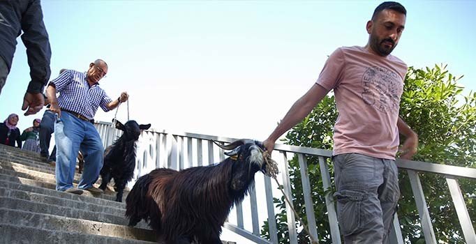 Üst geçitte kurban trafiği!