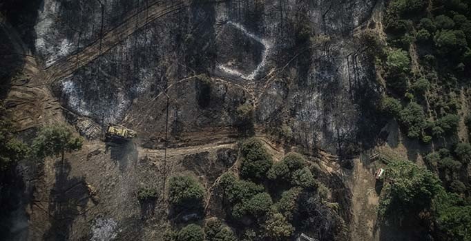 Eceabat'taki orman yangını saatler sonra kontrol altına alındı