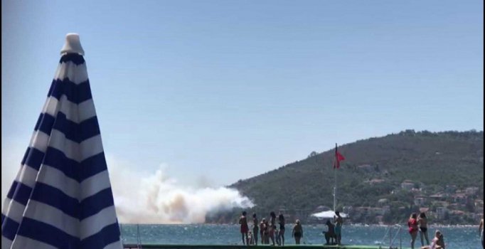 Burgazada'da ormanlık alanda yangın