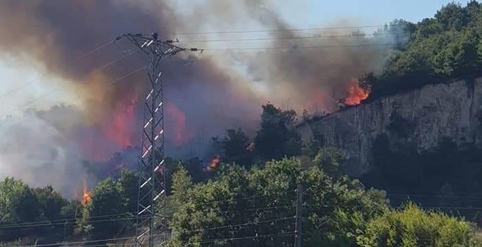 Biga’daki orman yangını kontrol altına alındı