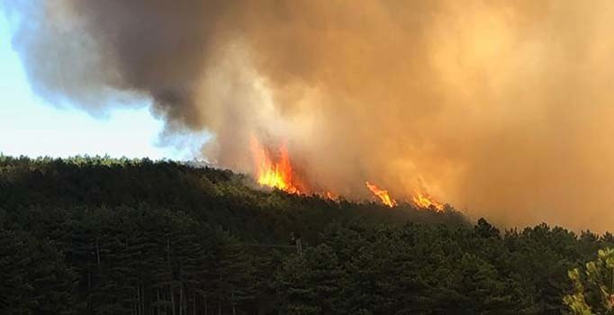 9 ilde çıkan orman yangınlarının tamamı söndürüldü