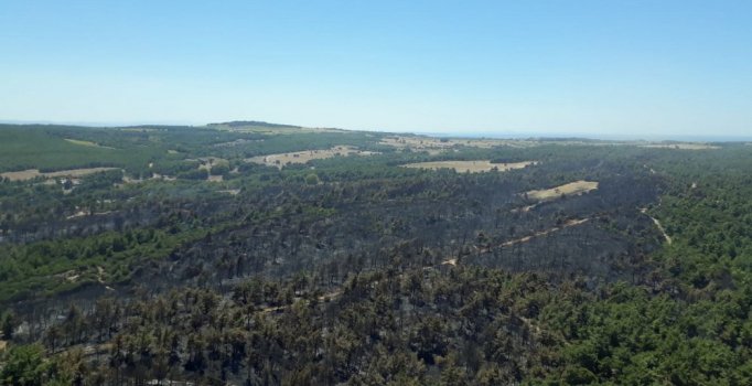 Gelibolu Yarımadası'nda yanan alan havadan görüntülendi
