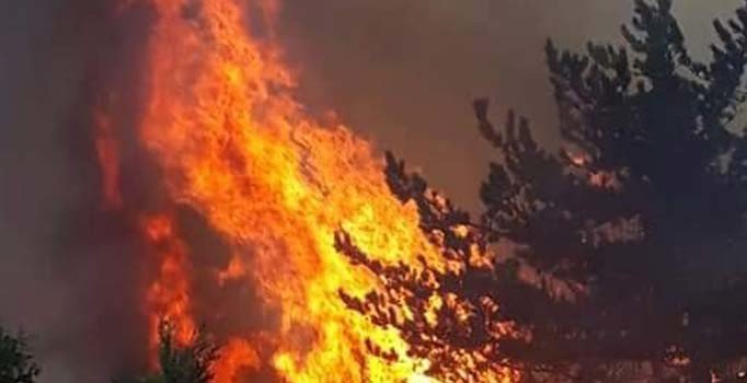 Tavşanlı'daki yangın kontrol altına alındı