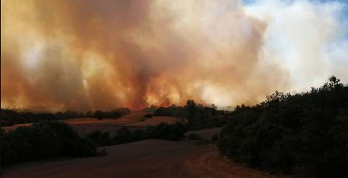 Orman yangınını erken haber veren sistem geliştirdiler