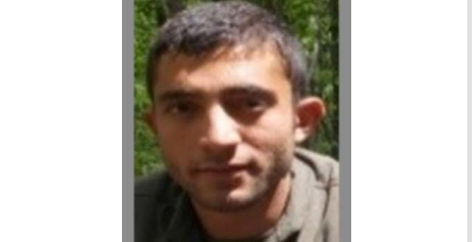 Bitlis'te etkisiz hale getirilen 4 teröristten 2'si gri listede çıktı